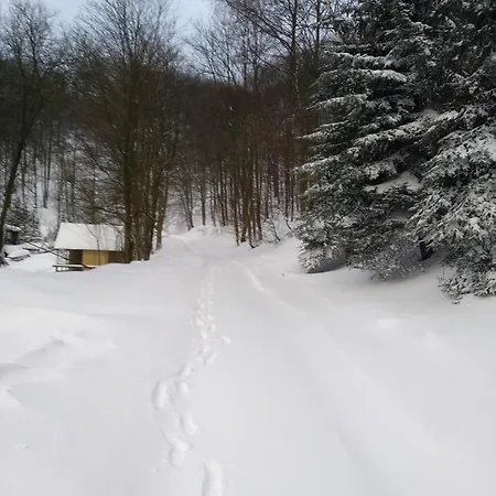 Medorhof & Events At Chalet Medor Aparthotel Telnice