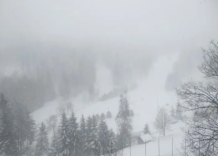 Medorhof & Events At Chalet Medor Telnice