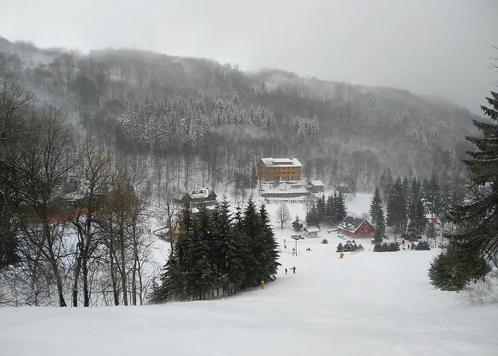 Medorhof & Events At Chalet Medor Telnice