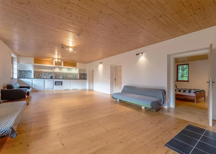 Medorhof & Events At Chalet Medor Ξενοδοχείο με διαμερίσματα Telnice